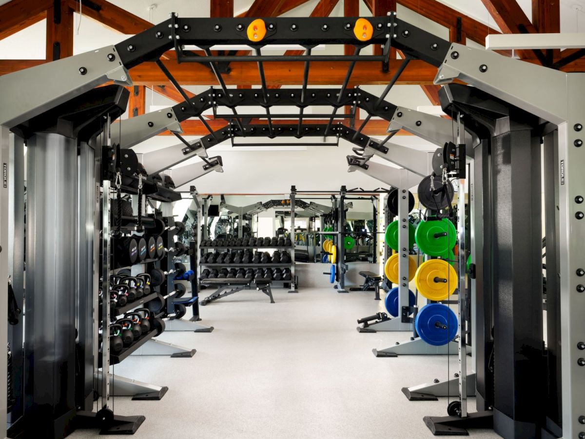 The image shows a well-equipped gym with various exercise machines, weights, and colorful weight plates set up in an open layout.