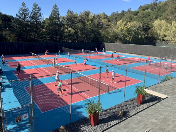 People are playing on several outdoor pickleball courts surrounded by trees and fencing.
