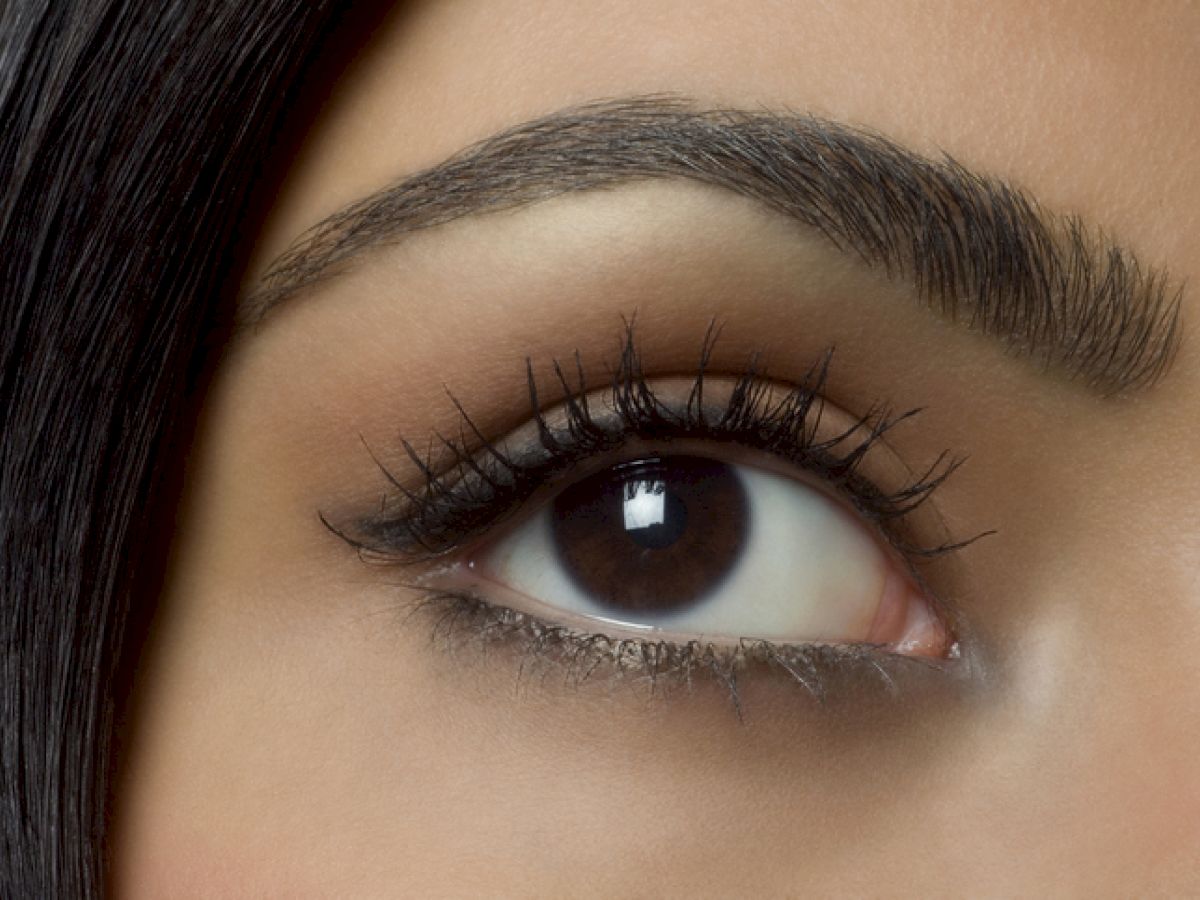 A close-up of a human eye with well-defined eyebrows and long eyelashes, showcasing makeup application and natural eye color.