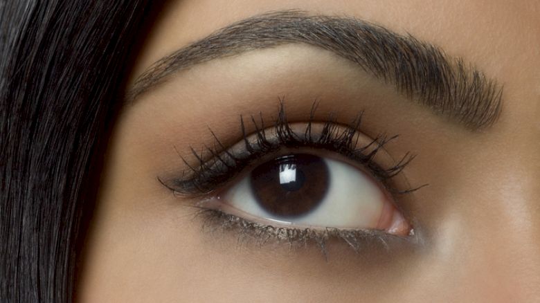 A close-up of a human eye with well-defined eyebrows and long eyelashes, showcasing makeup application and natural eye color.